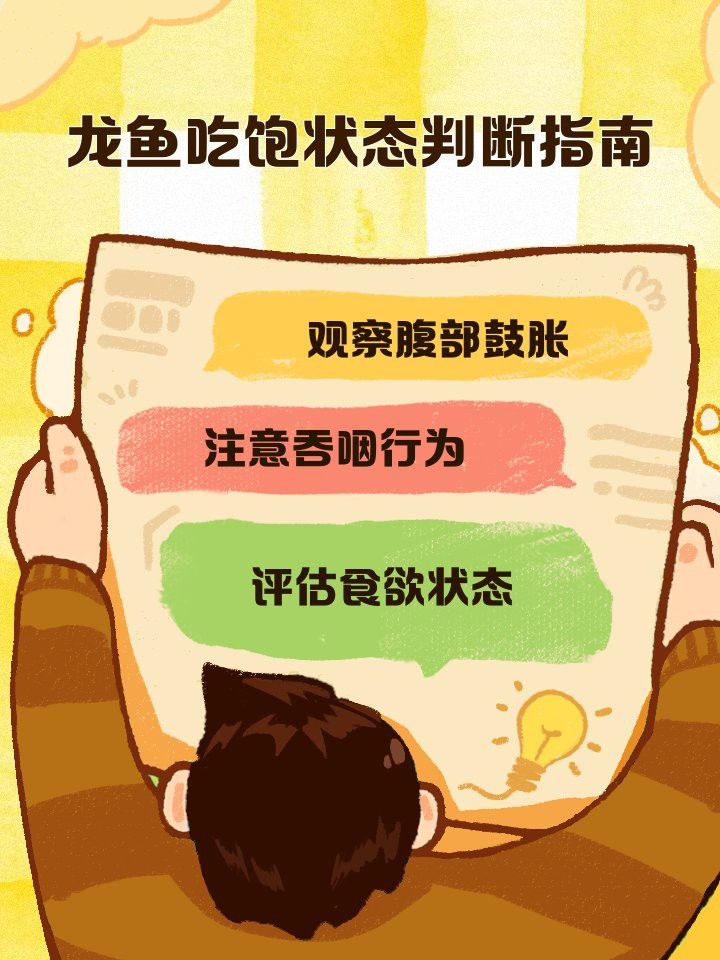 如何判斷七彩雷龍魚是否吃飽？