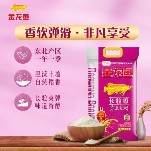 白色金龍魚價格多少錢一條圖片