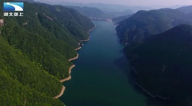 鱘龍魚產地在中國的哪里