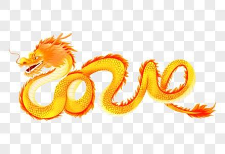 金龍魚高清圖片的版權問題