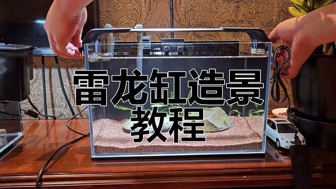 龍魚缸造景圖片