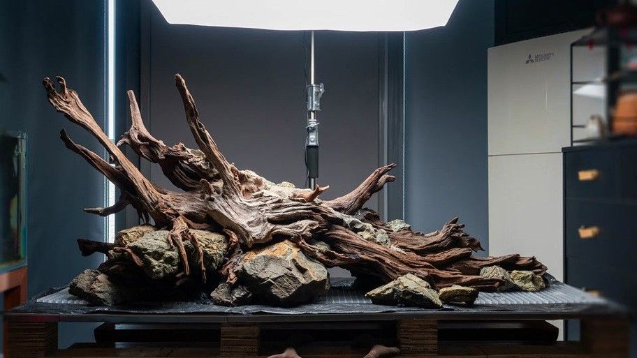 龍魚缸造景圖片