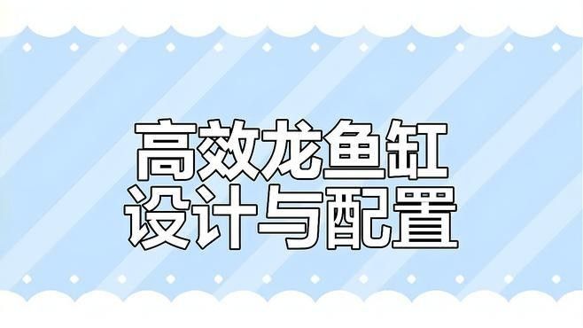 龍魚缸造景圖片