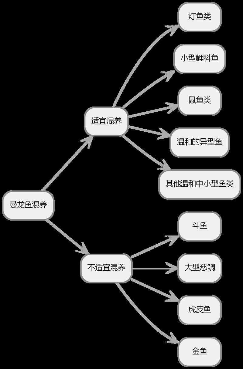 推薦一些適合與曼龍魚混養的魚類