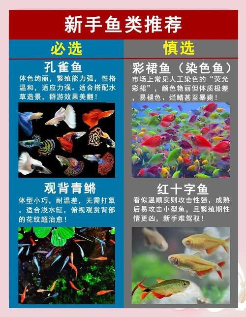 推薦一些適合與曼龍魚混養的魚類