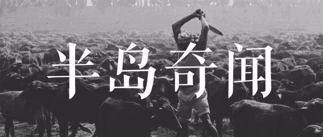 血紅龍魚的價格是多少
