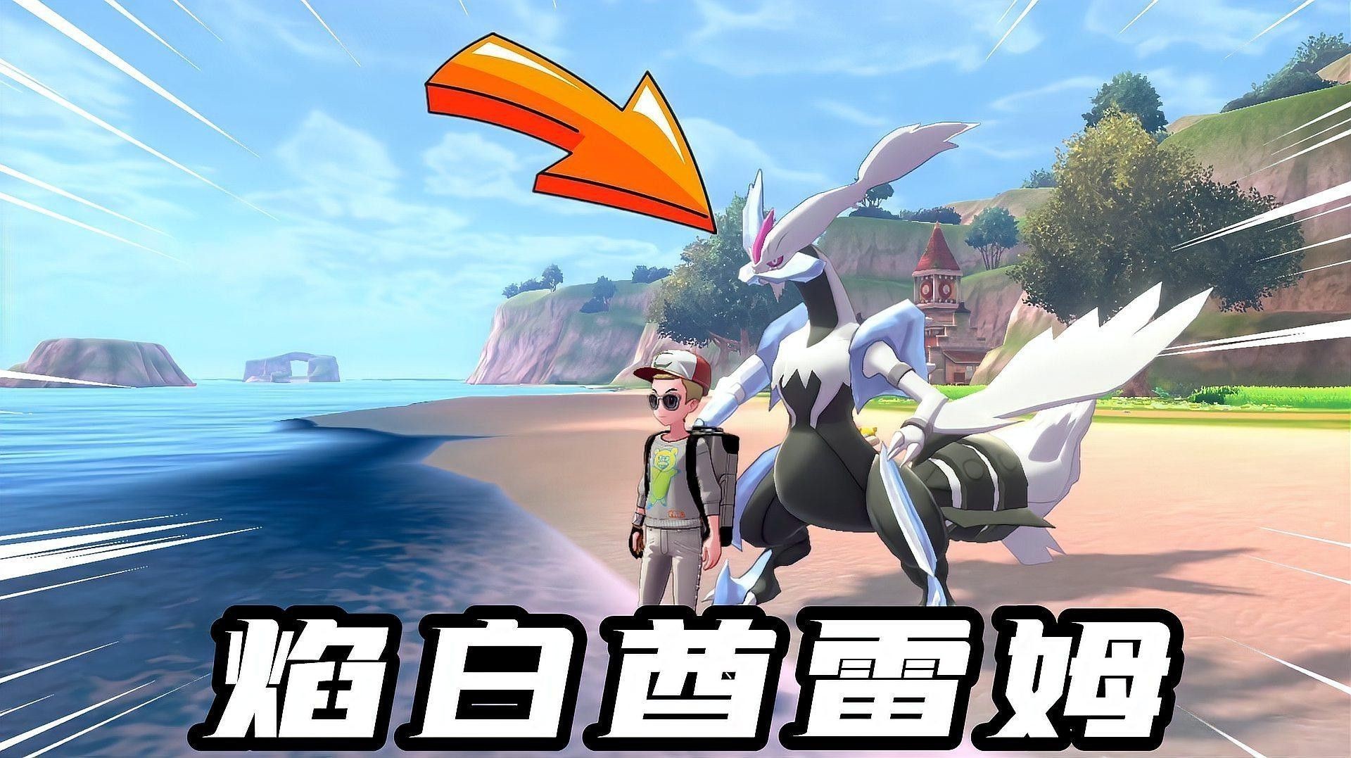 酋雷姆在動畫中有什么表現？