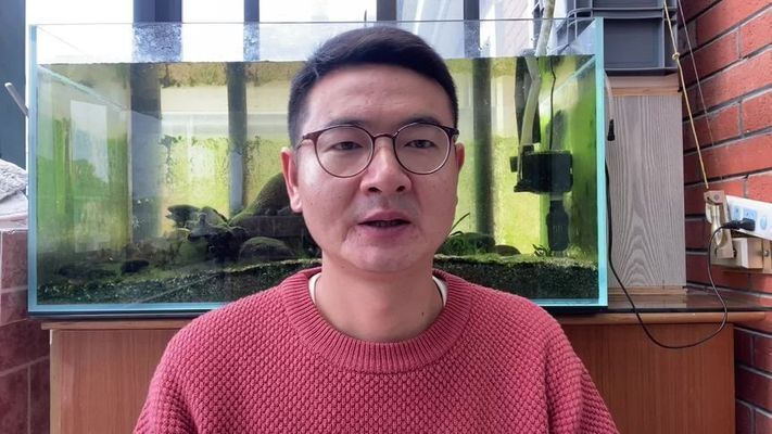 龍魚缸背景圖選擇圖片大全，龍魚缸背景圖選擇圖片大全boussac魚缸