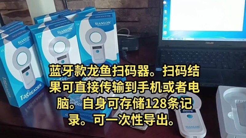 印尼辣椒紅龍魚價格多少錢一條啊（印尼辣椒紅龍魚價格多少錢一條啊圖片）