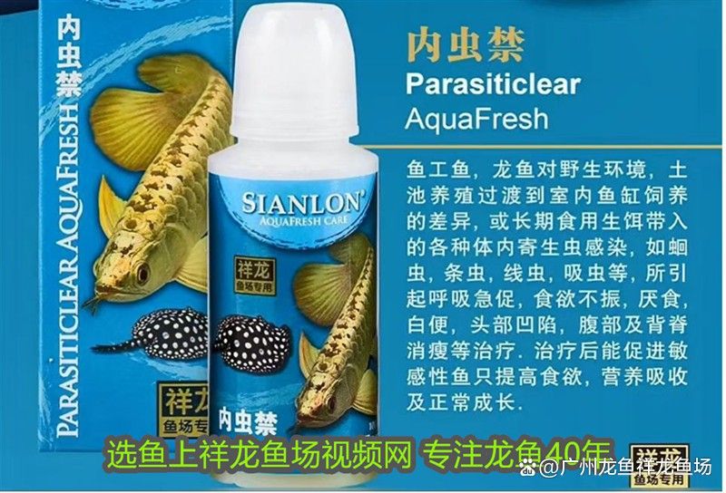 紅龍魚檢疫用什么藥