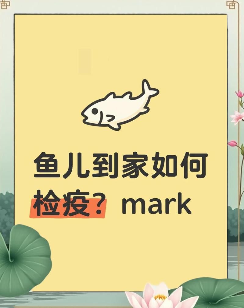 紅龍魚檢疫用什么藥