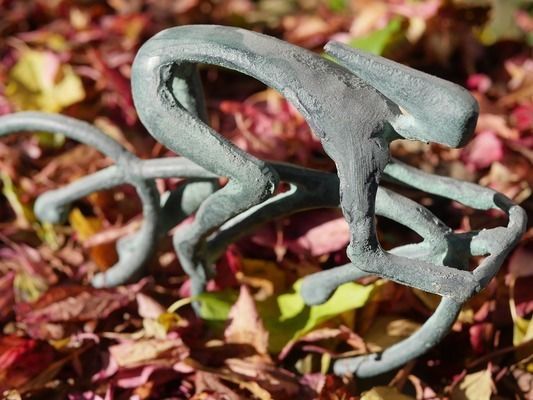 龍魚(yú)和銀龍魚(yú)一起養(yǎng)嗎，龍魚(yú)和銀龍魚(yú)可以一起養(yǎng)但需要注意以下幾點(diǎn)，銀龍魚(yú)混養(yǎng)注意事項(xiàng)