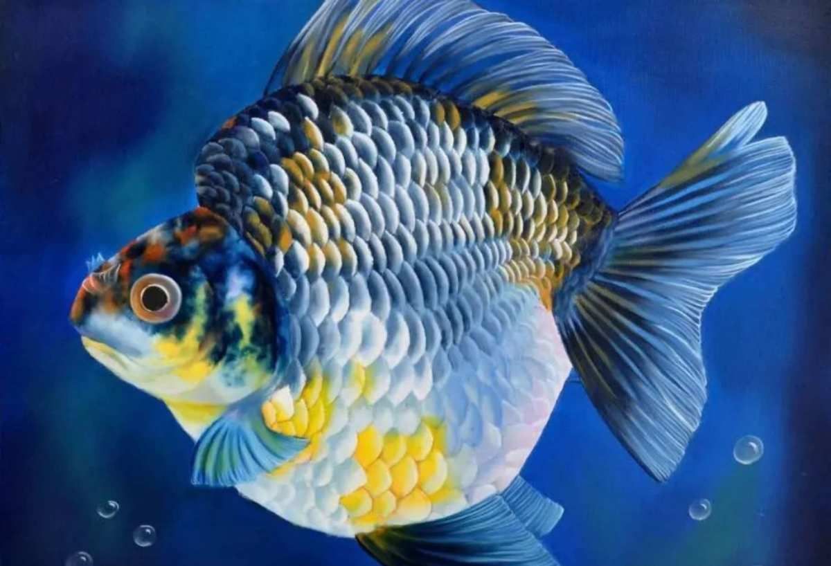 銀龍魚的鱗片有異常怎么回事（銀龍魚鱗片異常可能由多種因素引起，確保銀龍魚的健康）