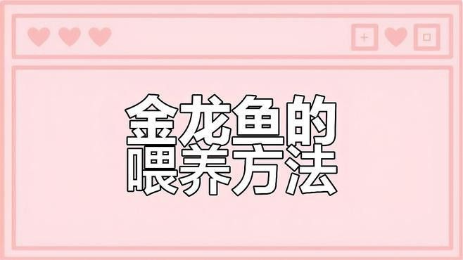 如何選購高品質的金龍魚苗？