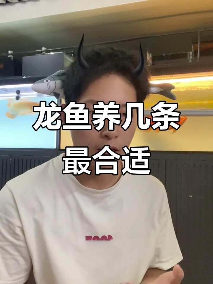 金龍魚養幾條風水最好