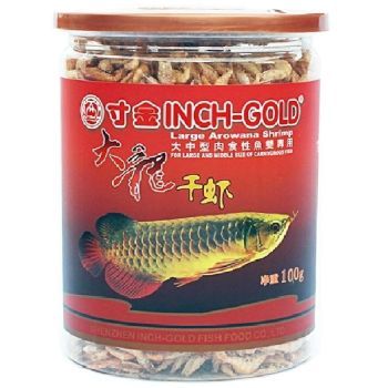 龍魚 青龍，咸魚之王中青龍魚的獲取方法