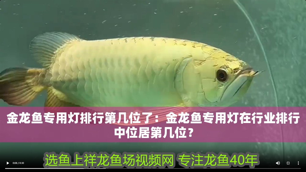 金龍魚專用燈排行第幾位了：金龍魚專用燈在行業排行中位居第幾位？