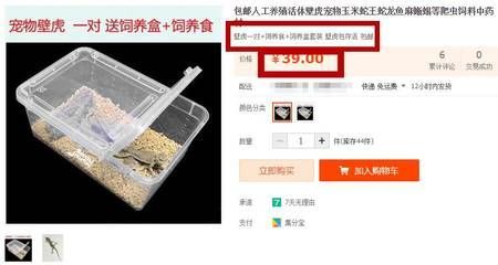 賣龍魚賺錢嗎現在怎么樣：觀賞魚市場需求、養殖成本及利潤情況探討龍魚市場需求