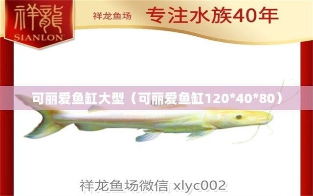 可麗愛魚缸型號系列大全圖片，可麗愛魚缸與其他品牌的比較可麗愛魚缸用戶評價匯總