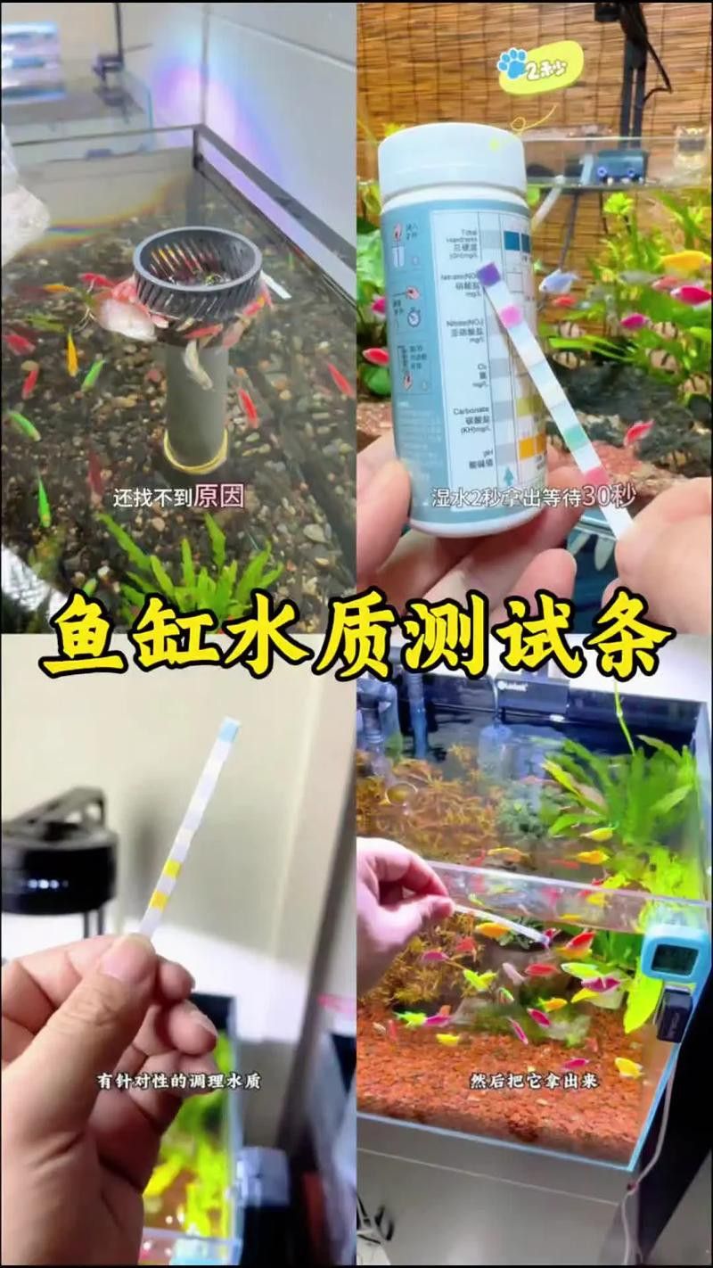 紅龍魚白天趴缸晚上好怎么回事啊圖片