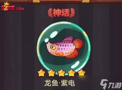 龍魚和什么魚搭配顯得高檔大氣
