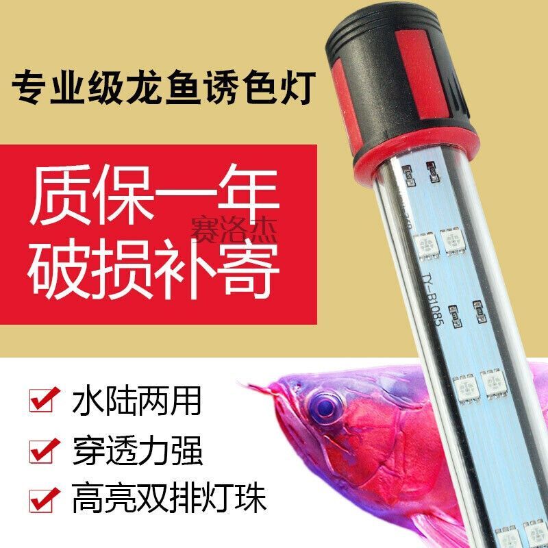 龍魚增色用什么燈比較好一點：如何挑選適合龍魚的增色燈