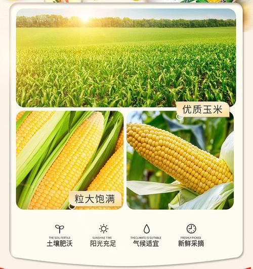 金龍魚玉米油有哪些規(guī)格可選？