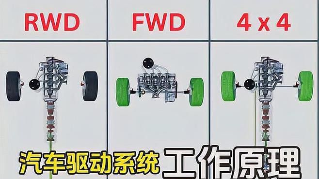 金龍魚玉米油有哪些規(guī)格可選？