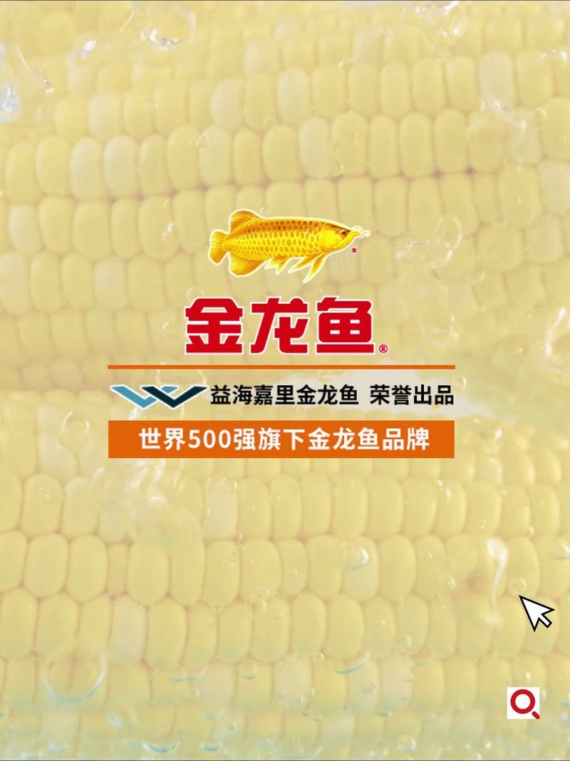 金龍魚玉米油有哪些規(guī)格可選？