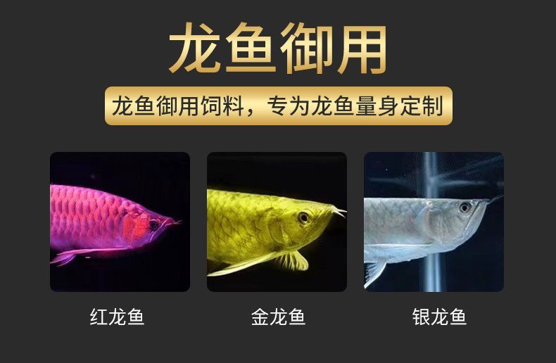 龍魚吃什么長的大：關(guān)于龍魚飲食的詳細(xì)介紹