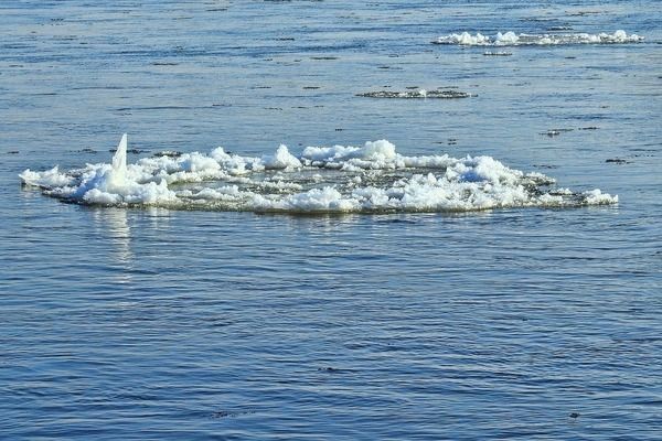 龍魚35度水溫行不？：龍魚最佳水溫范圍大致為24~28度龍魚最佳水溫范圍