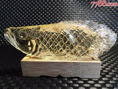 巧克力底金龍魚什么價格：巧克力底金龍魚什么價格巧克力底金龍魚什么價格