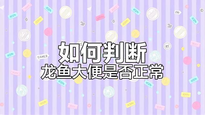 龍魚拉屎飄起來怎么辦 龍魚拉屎飄起來怎么辦 龍魚百科 第7張