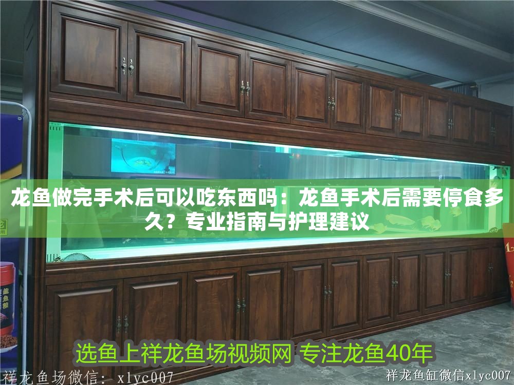 龍魚(yú)做完手術(shù)后可以吃東西嗎：龍魚(yú)手術(shù)后需要停食多久？專業(yè)指南與護(hù)理建議