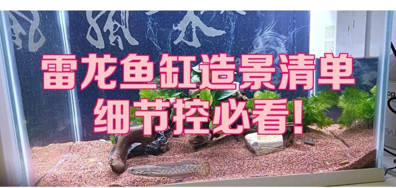 龍魚缸造景需要哪些工具