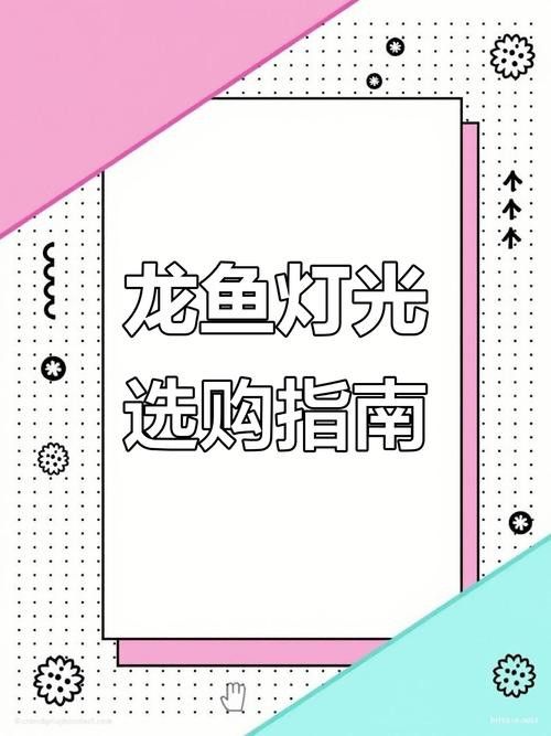 金龍魚開什么顏色的燈不掉眼