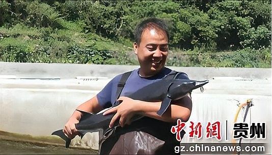 鱘龍魚一年長多少斤