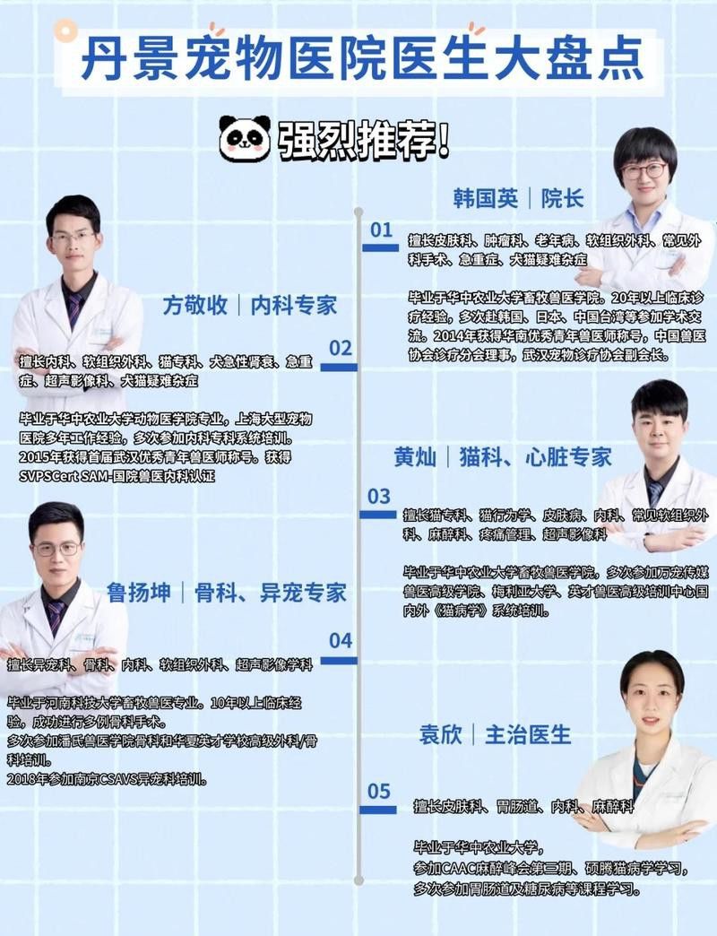 哪里可以找到專業的金龍魚手術醫師？