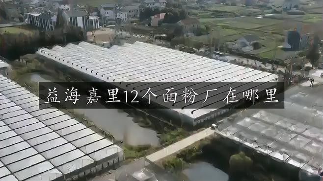 金龍魚掛面是哪里生產的品牌