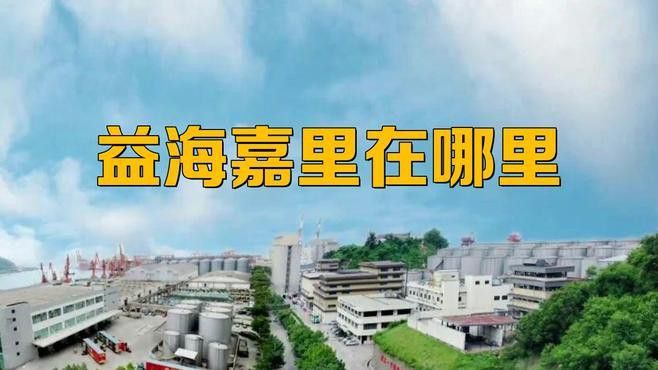 金龍魚掛面是哪里生產的品牌