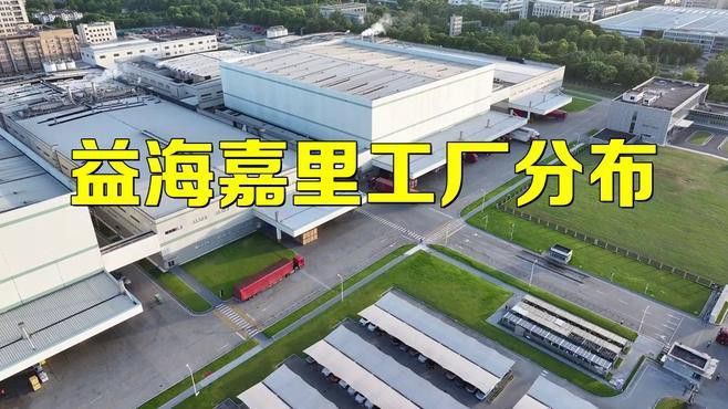 金龍魚掛面是哪里生產的品牌