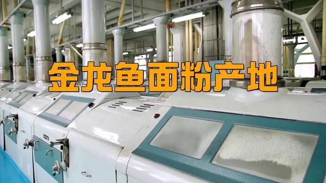 金龍魚掛面是哪里生產的品牌