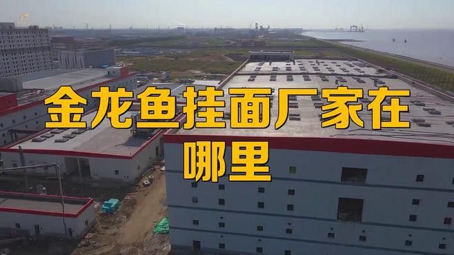 金龍魚掛面是哪里生產的品牌