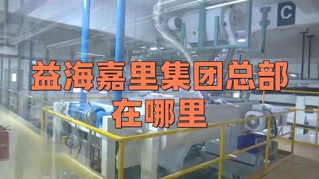金龍魚掛面是哪里生產的品牌