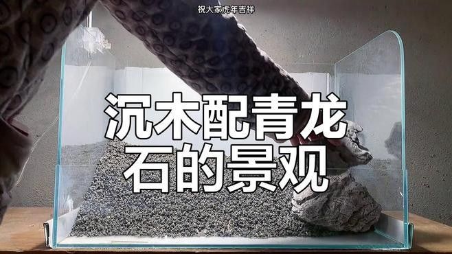 龍魚缸石頭造景圖片大全集
