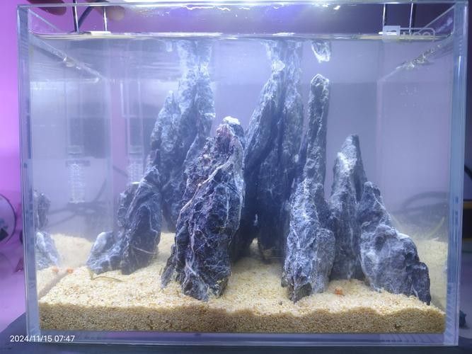 龍魚缸石頭造景圖片大全集