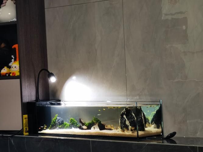 龍魚缸石頭造景圖片大全集