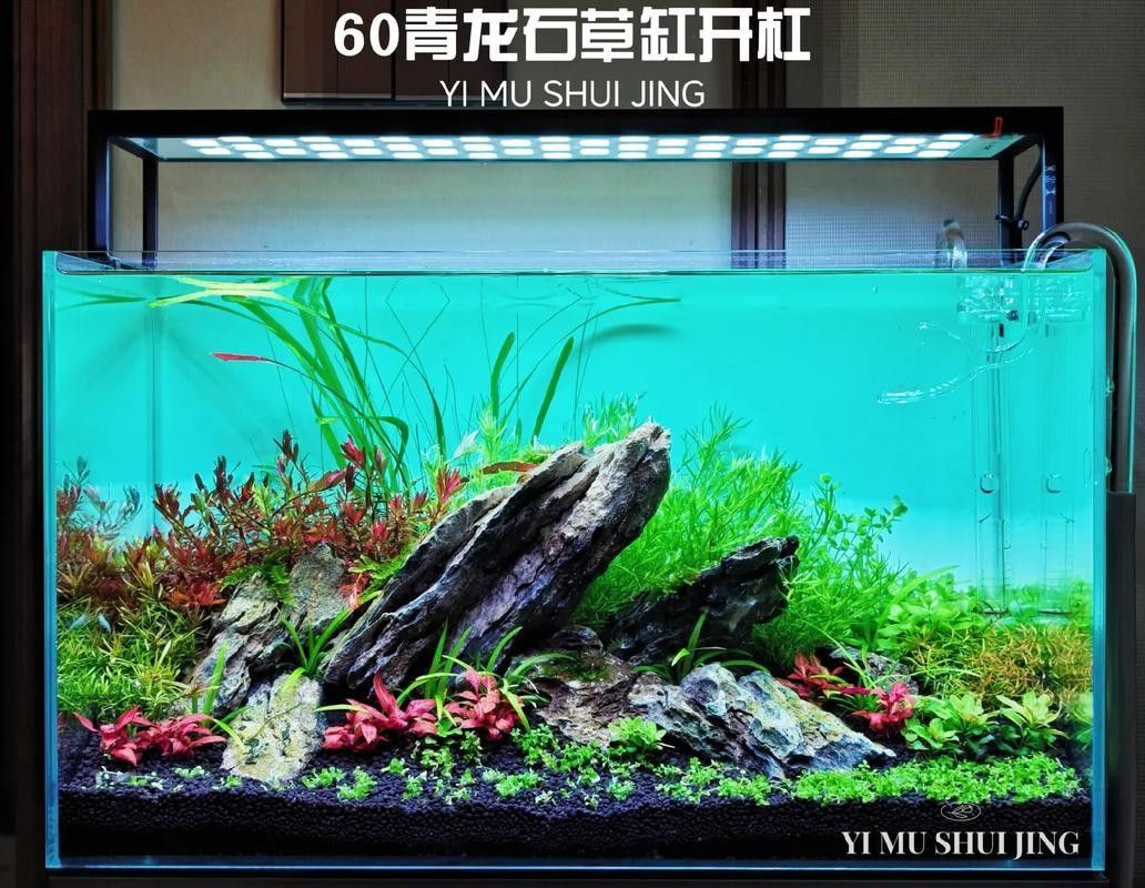 龍魚缸石頭造景圖片大全集