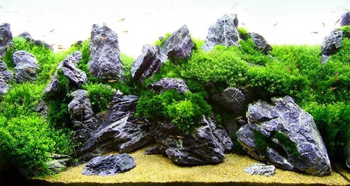 龍魚缸石頭造景圖片大全集