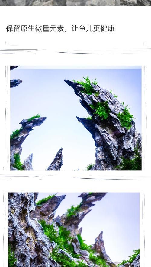 龍魚缸石頭造景圖片大全集